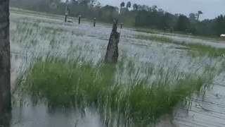 Woman documents excessive flooding from Hurricane Dorian
