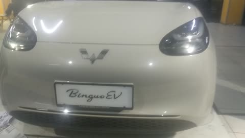 cute electric car binguo Ev