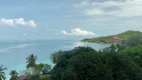 Sea View and Trees