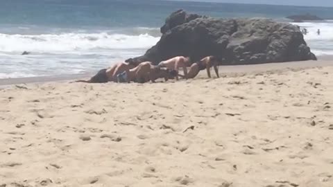Group of shirtless men push ups on beach