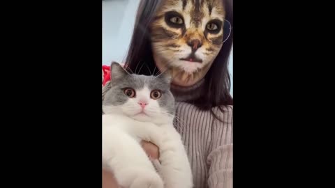Cats Scared Of Cat Mask Filter