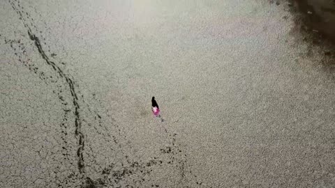 Drought at Bolivia's Lake Titicaca threatens farmers