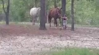 Little cowgirl with her horses
