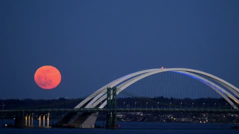 Meteor shower and super moon will light up the night sky at the same time # super moon