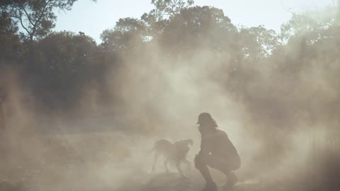 Dog runs to a man