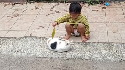 A funny kid enjoy playing with a cute Kitty