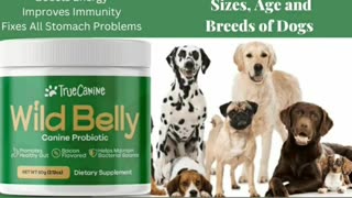 Wild Belly Dog Probiotic