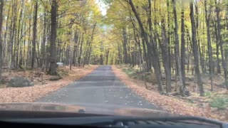 Watersmeet MI Dressed Up in Fall Colors