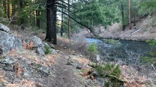 Exploring the Shoreline – Metolius River National Recreation Area – Central Oregon