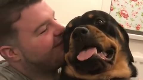 Rottweiler grumble/purr/rumble