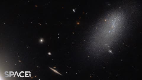 Hubble Captures Amazing Views Of Amorphous And Lenticular Galaxies