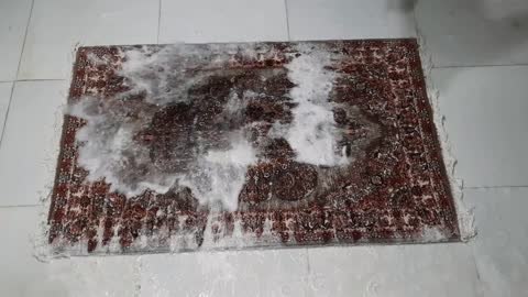 extremely dirty wet carpet cleaning satisfying rug cleaning asmr