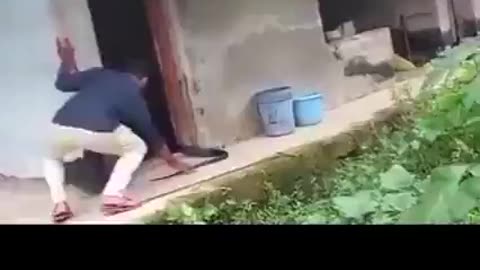 How not to catch a KingCobra😱😱😱!!