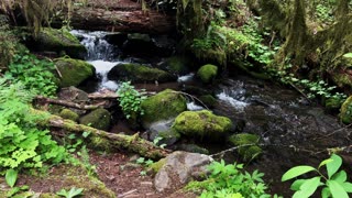 SOOTHING SILENCE & PEACEFUL TRANQUILITY | Perspectives of Soda Creek @ Cascadia Park | Oregon | 4K