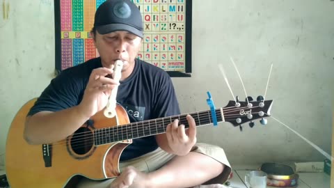My Heart Will Go On Celine Dion fingerstyle cover