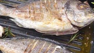 Pan fried Sea Bream fish, a delicious and quick lunch