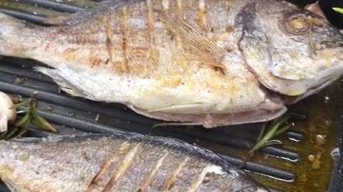 Pan fried Sea Bream fish, a delicious and quick lunch