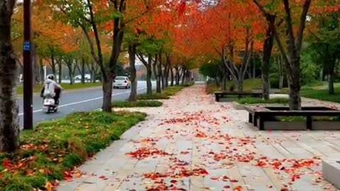 edleaves #quiet #relax #beauty #nice #foryou #tiktok #sceneryvideos #scenery