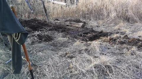 Mystery Machine Buried in Marsh ID'd: Vintage 8' Spike Harrow - Misplaced Decades Ago - Recovering