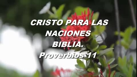 Proverbios 11