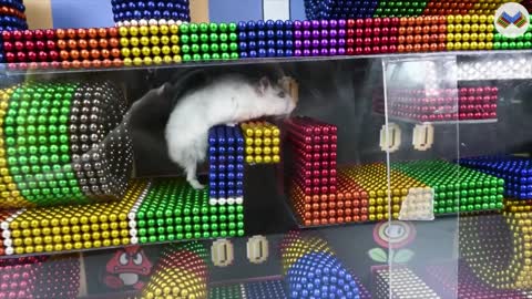 Hamsters Conquer Super Mario Maze
