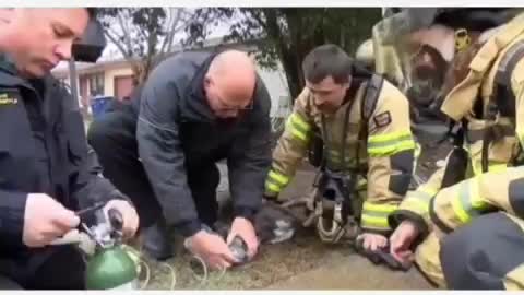I Need a Hero! Dog Rescue! 🔞Graphic-Sensitive content🔞 #firefighters #heros #rescuedog