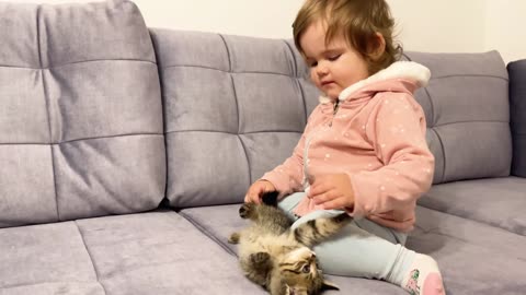 How Baby Playing New Born Baby Kitten