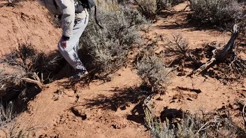 Jumping in a wash in Arizona