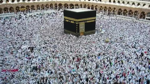 Tech Life - These Strange Insects JUST INVADED Kaaba In Mecca And TERRIFIES Muslims!