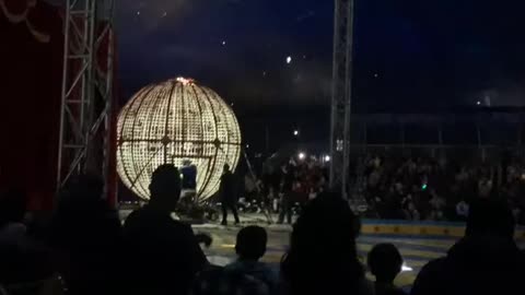 Circus cool tricks!!