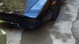 When You Forget Everything On in the Lamborghini