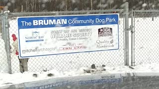 Dog Park in our community