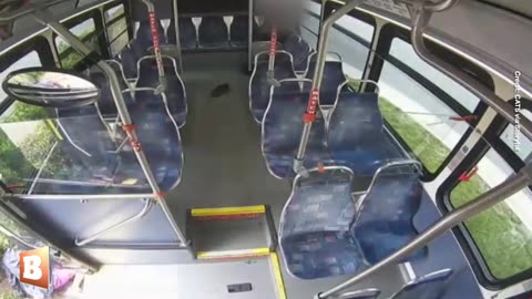 INTENSE: Bus Driver Fired After Shootout with Passenger Who Pulled a Gun