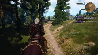 On the search for Ceri | #Mizkif #RumbleRules | Witcher Wild Hunt 3