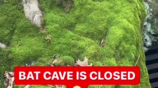 TORY’S CAVE CLOSED 😥