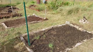 Styxhexenhammer Garden Update 10-9-2023 New Beds, and Spring Plans!