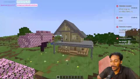 Minecraft Survival Livestream #19