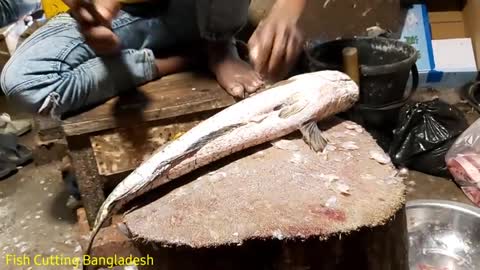 Amazing Giant Snake Head Sola Fish Cutting Skills