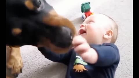 Funny babies /playing with dog