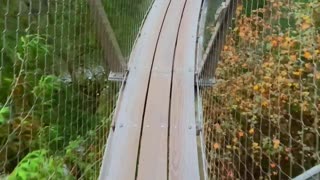 suspension bridge , Vancouver