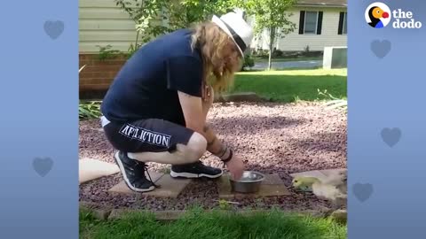 Guy Teaches His Rescued Gosling How To Fly | The Dodo Soulmates