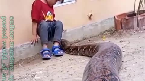 The girl is playing with the "tiny" snake