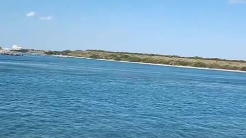 Pelican Rescue at Port Canaveral