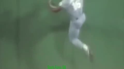 Amazing catch