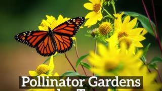 Pollinator Garden Hagerstown Maryland Landscape The Best