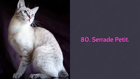 🐈 All Cat Breeds A-Z With Pictures! (all 98 breeds in the world).mp4