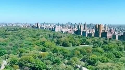 Isn't it shocking to overlook the largest central park in the world?