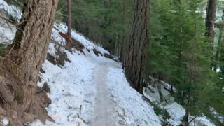 Ice Hiking Through Snowy Old Growth Classic Forest – Tamanawas Falls – Mount Hood – Oregon – 4K