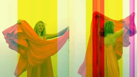 COLOR BLOCK Stella McCartney by Petra Cortright(1)
