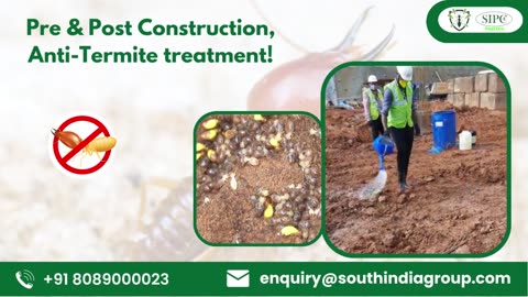 Termite Treatment Delhi